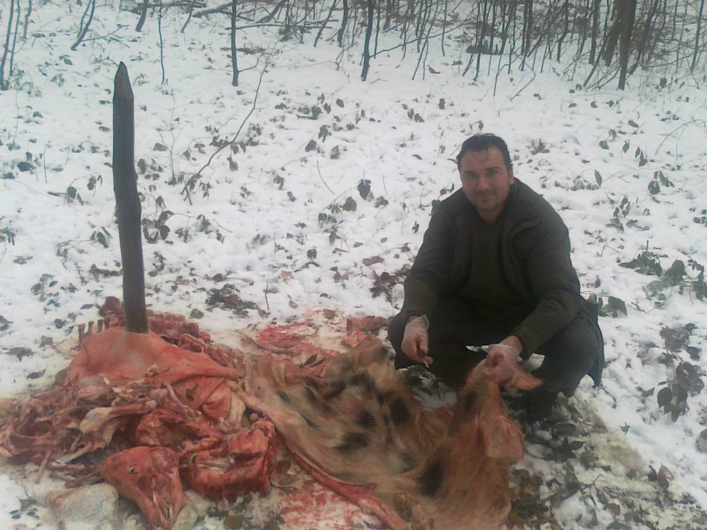 Postavljanje mrciništa